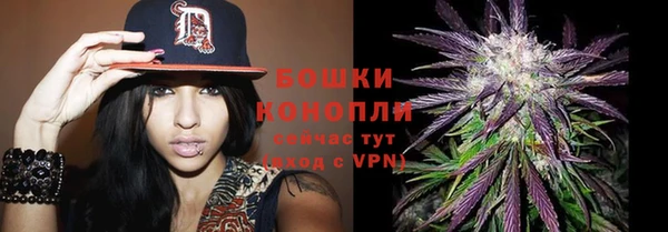 герыч Бронницы